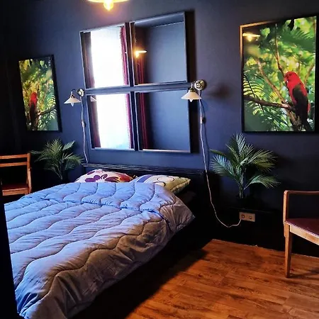 Old Town Apartments For Families & Groups - Rueuetli 29 *